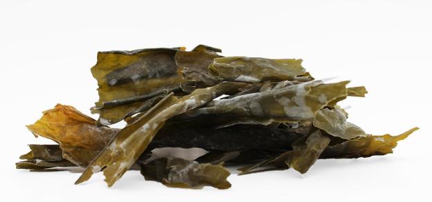 Aspecto del alga kombu, que se puede cocinar de muy diversas maneras. :: L.R.
/