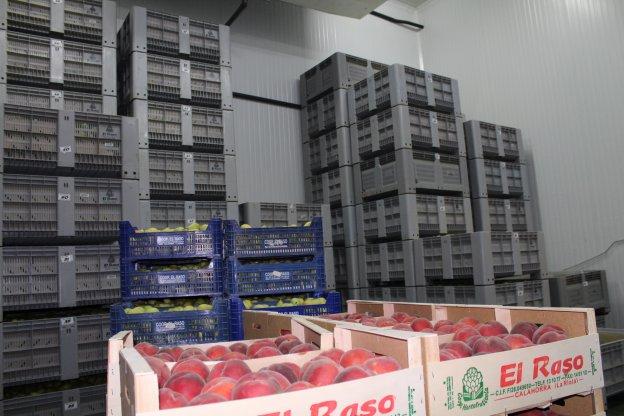La fruta de hueso se amontona en las cooperativas riojanas. :: m.f.