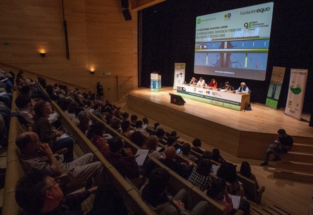 Sesión celebrada ayer en Riojafórum. :: díaz urielLa Universidad Verde de Verano celebró ayer en Riojafórum su segunda y última jornada, en la que se abordaron los temas 'Movilidad humana y fronteras' y 'Medio ambiente y mercados globales' en sendas sesiones plenarias. Organizada por la Fundación Verde Europea (GEF) y la Fundación Equo, en la clausura intervino el presidente de esta última, José Larios.