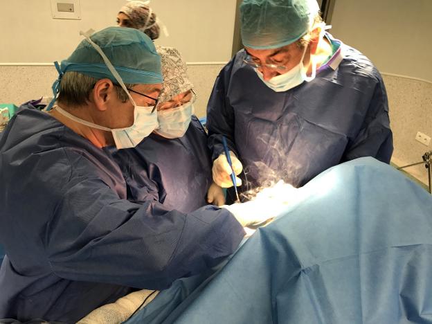 El equipo de doctores, durante la intervención. :: /H.V.M.