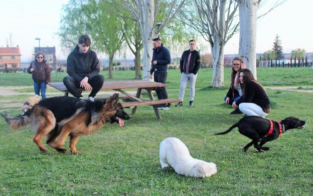 Imagen de la zona de esparcimiento canino de 'El Mazo'. :: d. m. a./