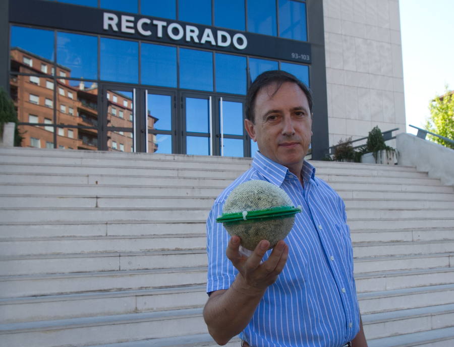 Un técnico muestra una de las esferas de musgo.