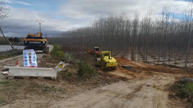 Las máquinas refuerzan el mazón por detrás en el soto del Estajao, con los pozos de captación a 60 metros y una chopera de producción ya anegada por trasmane. :: E.P./