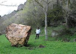 Una gran piedra de varias toneladas se desprendió de los Riscos de Bilibio y arrolló árboles y un asador hasta pararse en las campas. :: C.V./