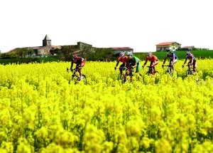 Imagen de la edición de la Vuelta a La Rioja del pasado año. :: JUSTO RODRÍGUEZ/