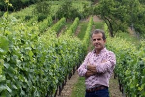 Joaquín Fernández, director del Museo del Vino de Cangas del Narcea y bodeguero, en sus viñedos . / ALEX PIÑA/
