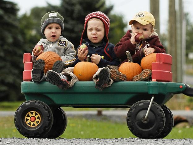 Por una correcta nutrición