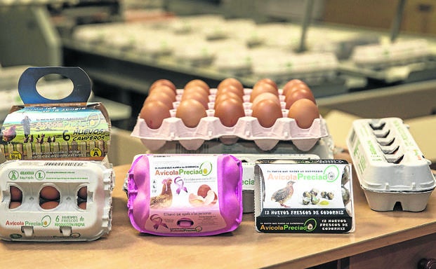 Degusta: los más preparados para ser líderes