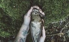 Naturaleza, cocina y alma