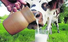 La leche: ¿en manos de los consumidores?