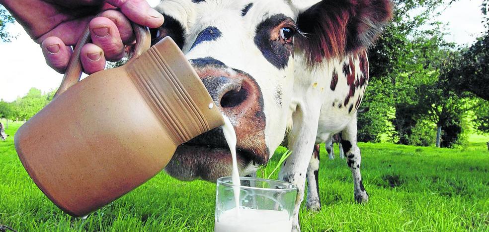 La leche: ¿en manos de los consumidores?