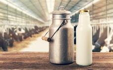 El consumo de leche cruda tiene muchos riesgos. :: L.R./