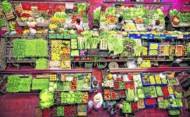 Vegetales. Cantar de la mía huerta