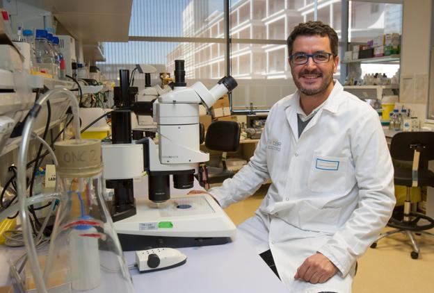 «Podemos depositar ciertas esperanzas en las propiedades anticancerígenas de los hongos»