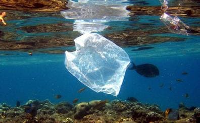 Satélites para acabar con el plástico en mares y océanos