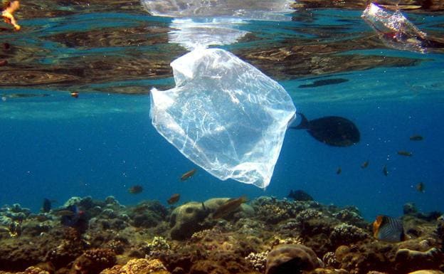 Satélites para acabar con el plástico en mares y océanos