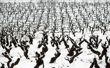 Europa publica el 'reglamento ómnibus' y permite por fin limitar por adjudicatario el reparto de viñedo