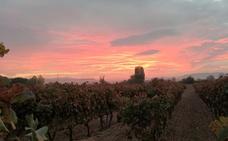 Aromas y sabores de Rioja Alta