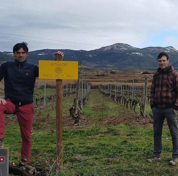 Finca de la Rica: del vino de pueblo al viñedo singular
