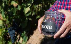 El Consejo Regulador de la Denominación de Origen Calificada Rioja aprueba un presupuesto de 15,3 millones