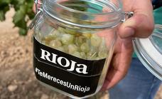 Rioja entra de lleno en la vendimia con probabilidad de alcanzar los máximos diarios de recolección