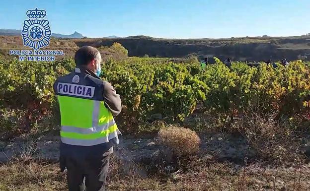 Detenidos seis temporeros en situación irregular en Rioja Alavesa gracias a los drones