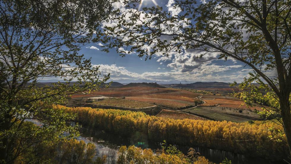 El otoño transforma el paisaje de La Rioja
