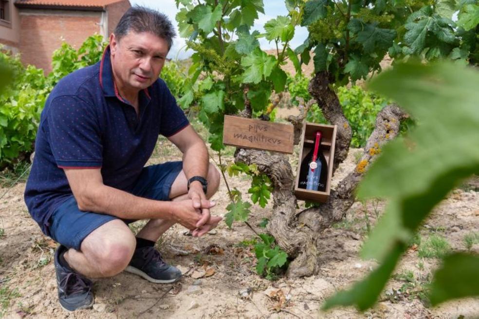 Eduardo Monge, Viña Ane, en el viñedo de donde elabora su nuevo vino 'Pijus Magníficus'. 