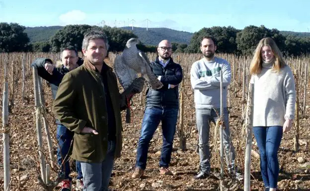 Álvaro Palacios, con un azor y junto con otros miembros de la plataforma Paisajes de La Rioja, en el viñedo Quiñón de Valmira y, al fondo, los molinos de la sierra de Yerga. 