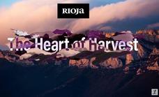 Rioja estrena la primera docuserie en tiempo real sobre la vendimia
