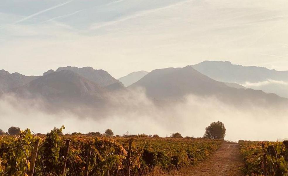 La ruta de Tim Atkin por La Rioja: «This place is ridiculously beautiful»