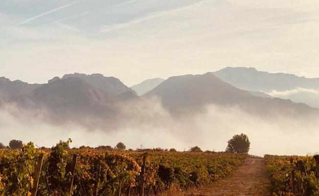 La ruta de Tim Atkin por La Rioja: «This place is ridiculously beautiful»
