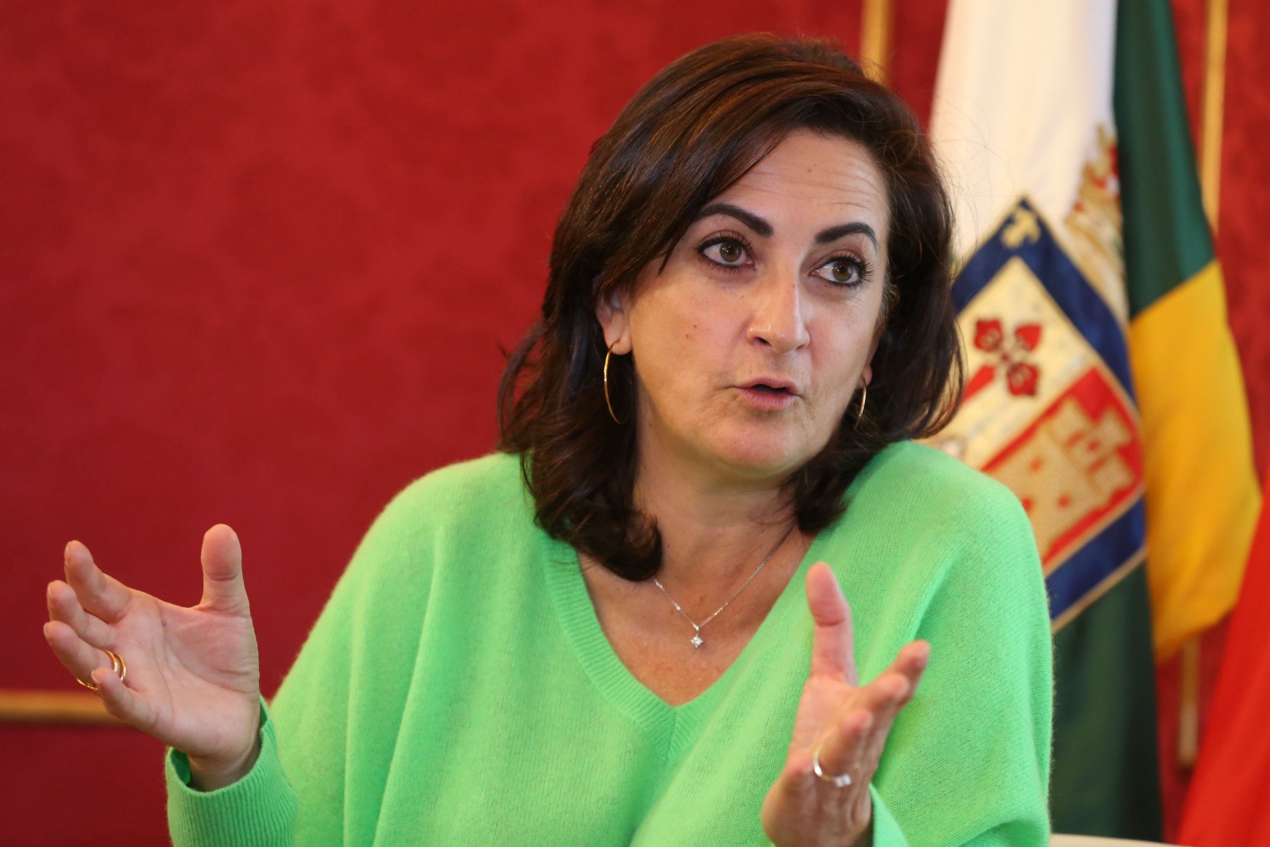 El Gobierno vasco pide respeto para 'Viñedos de Álava' y garantiza la legalidad del proceso