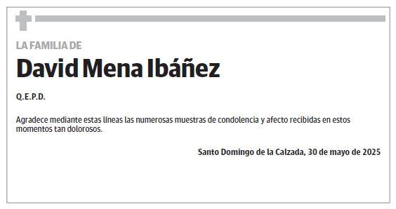 David Mena Ibáñez