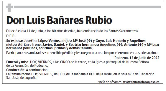 Don Luis Bañares Rubio