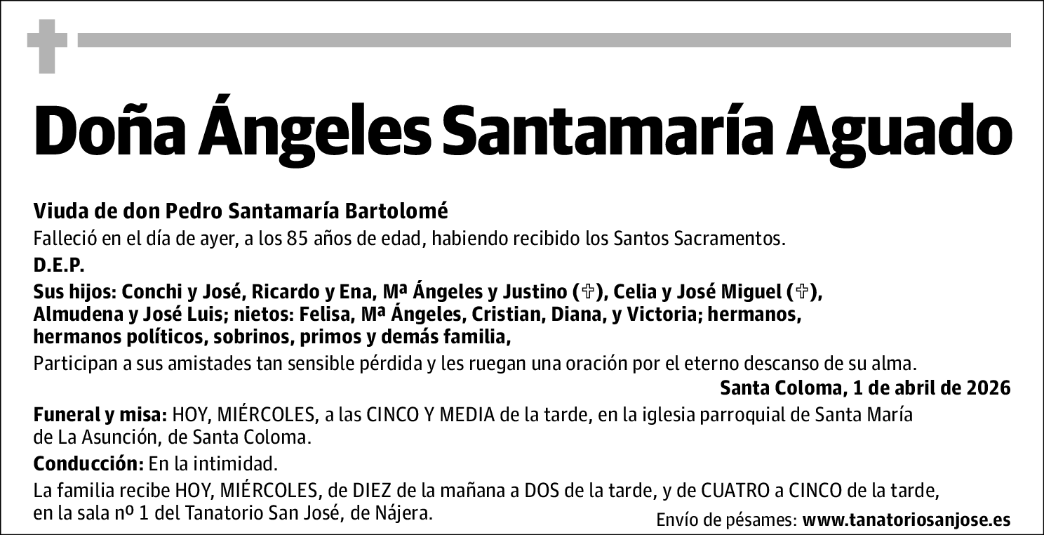 Ángeles Santamaría Aguado