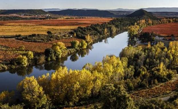 Los 'Sotos y Riberas del Ebro' entre Pradejón y Calahorra y el meandro de El Cortijo gozarán de protección