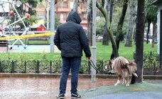La limpieza de los orines de perros será obligatoria y no hacerlo podrá ser multado con hasta 750 euros