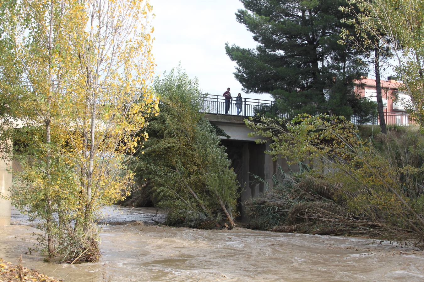 El temporal en La Rioja Baja, en imágenes