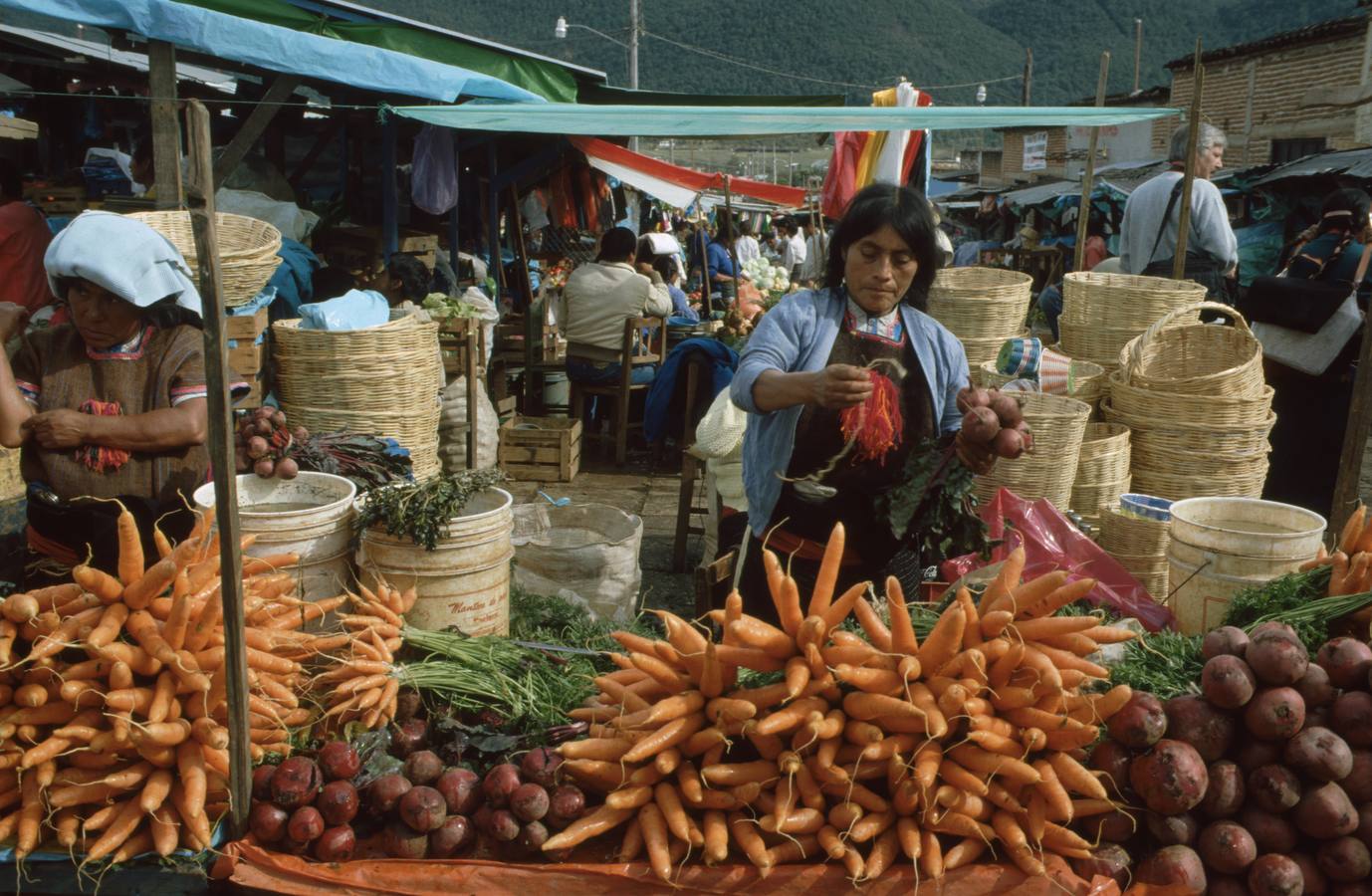 Doscientas miradas a América Latina