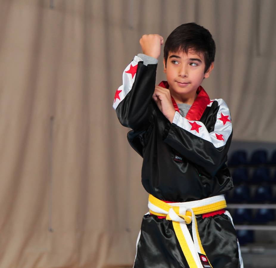 El kickboxing celebra sus finales
