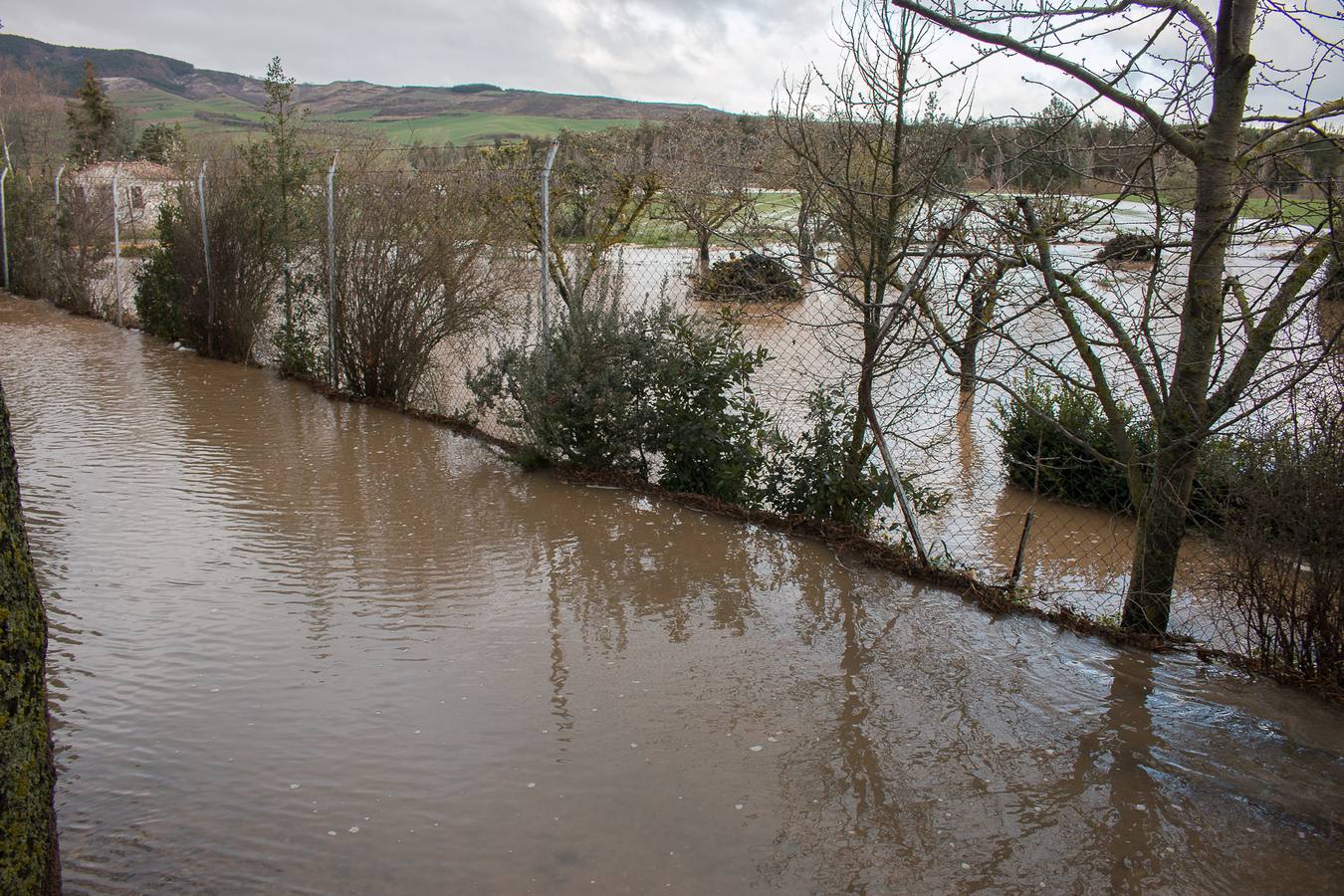 El Oja anega fincas y carreteras en Ojacastro y Santo Domingo