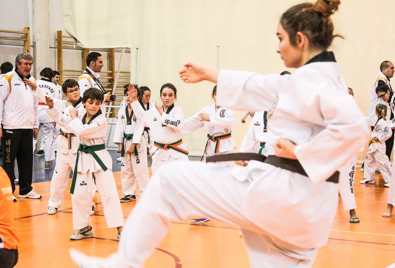 El taekwondo celebra las finales de pumse