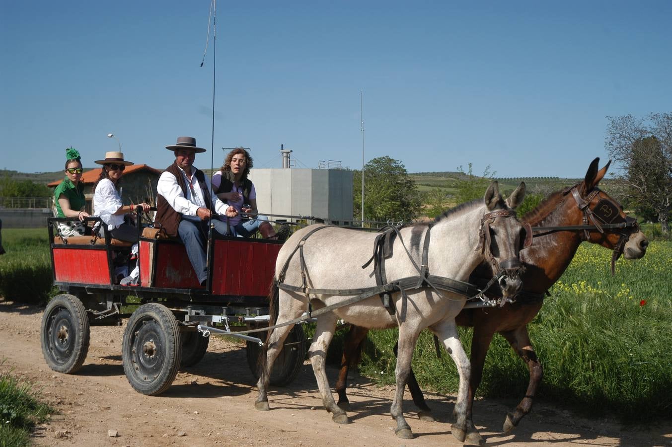 Caballos, carros y rebujito