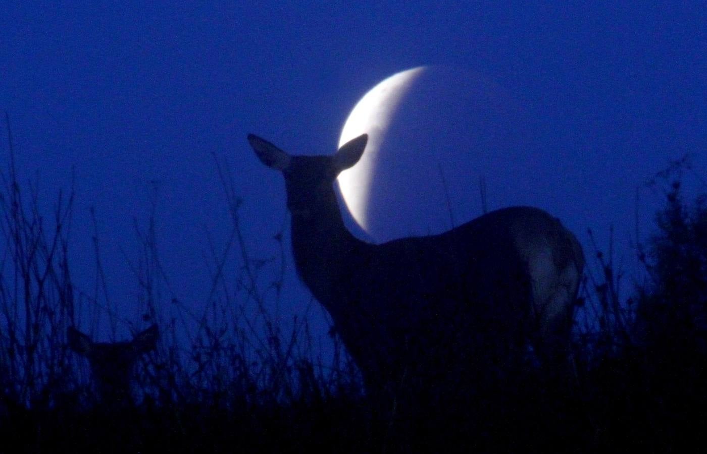 El eclipse y la superluna