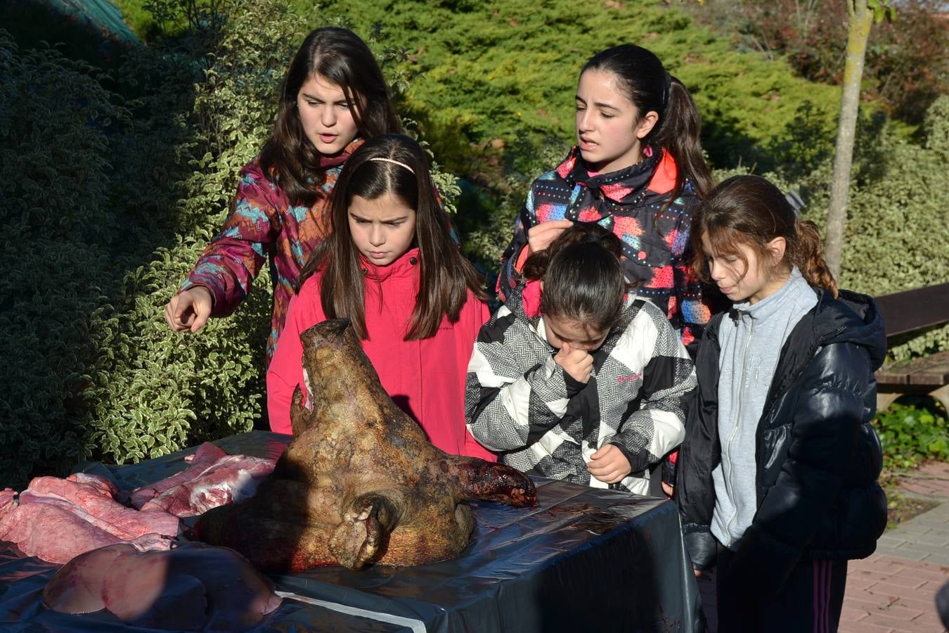 La Matanza Extremeña de Ventosa