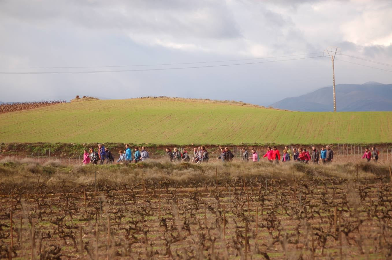 Paseo saludable en Nájera