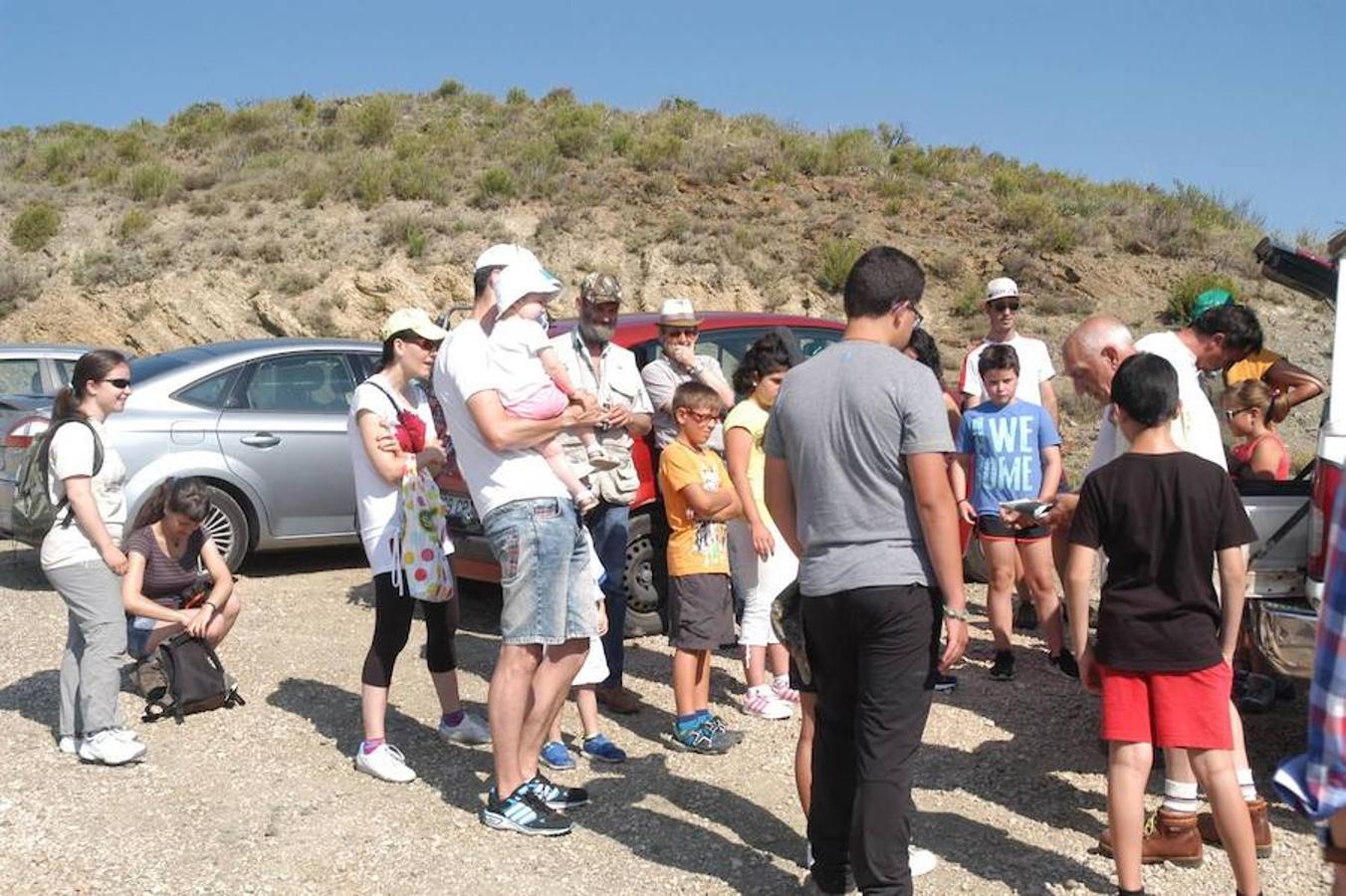 Jornada paleontológica en Cornago