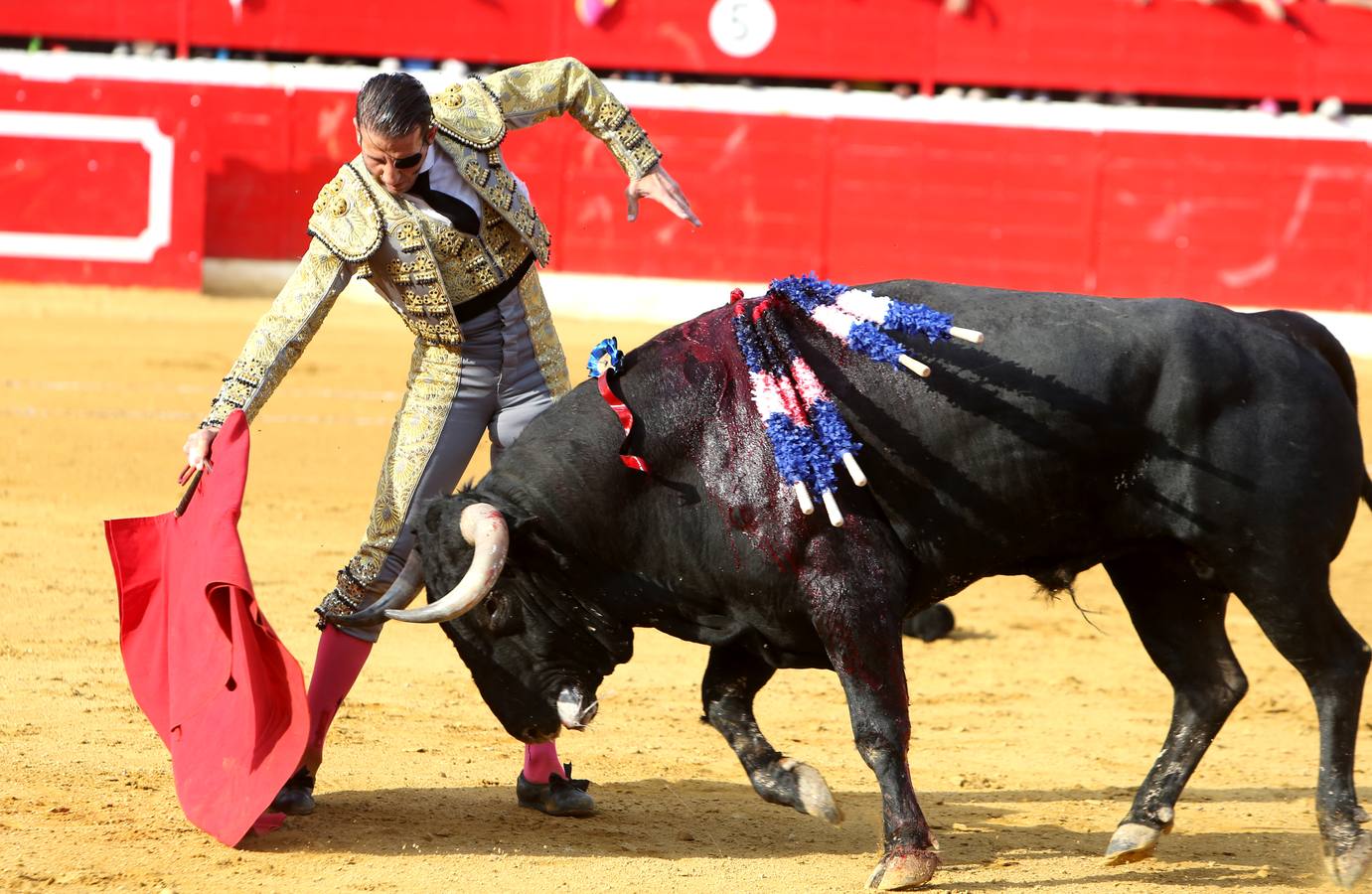 Gran tarde de toros en Alfaro