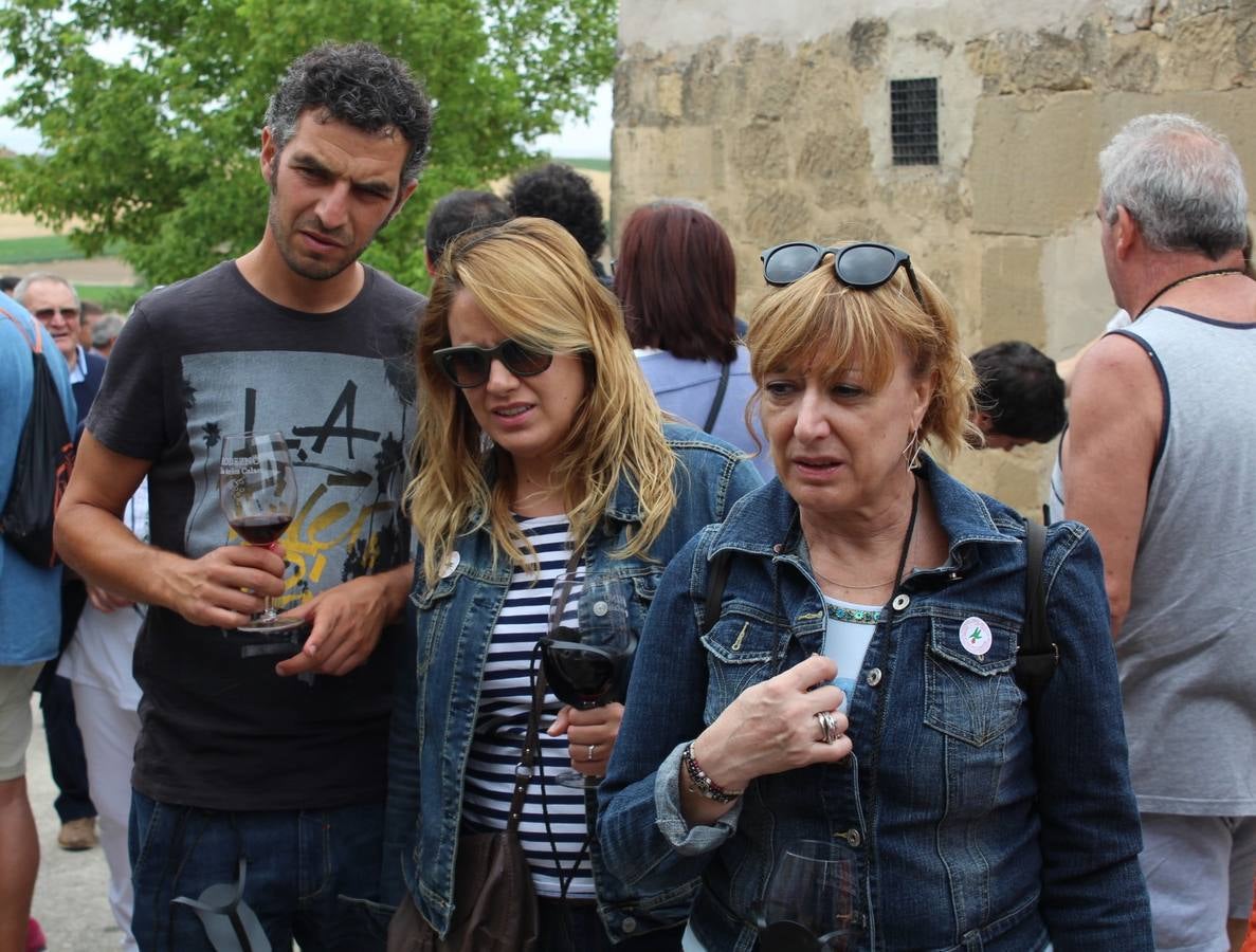 Rodezno enseña sus calaos